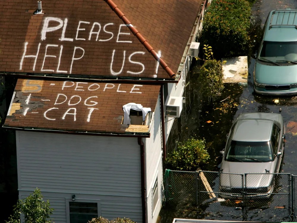 Roofs became pleas for help for people and their pets following Hurricane Katrina ROBERT GALBRAITH/Reuters/Corbis.